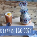 egg cozy egg cozy