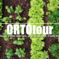 banner_OrtoTour_310x250 banner_OrtoTour_310x250